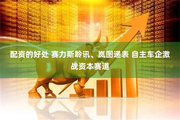配资的好处 赛力斯聆讯、岚图递表 自主车企激战资本赛道