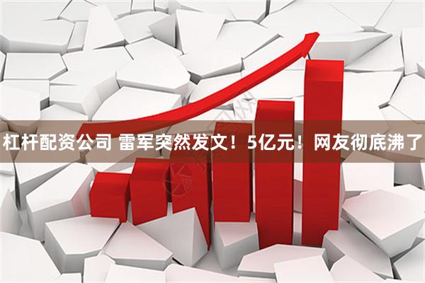 杠杆配资公司 雷军突然发文！5亿元！网友彻底沸了