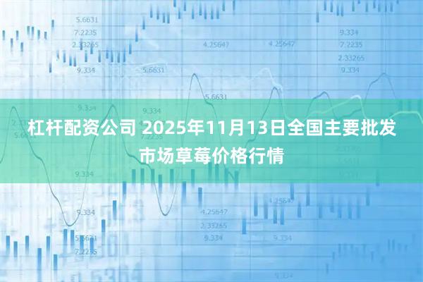 杠杆配资公司 2025年11月13日全国主要批发市场草莓价格行情
